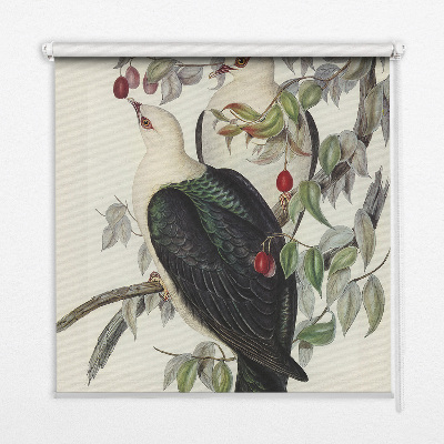 Store enrouleur Oiseaux sur une branche