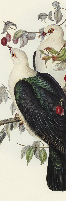 Store enrouleur Oiseaux sur une branche