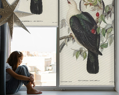 Store enrouleur Oiseaux sur une branche