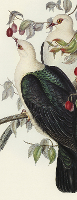 Store enrouleur Oiseaux sur une branche