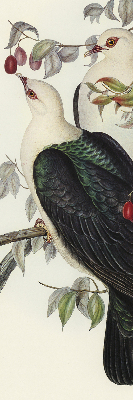 Store enrouleur Oiseaux sur une branche