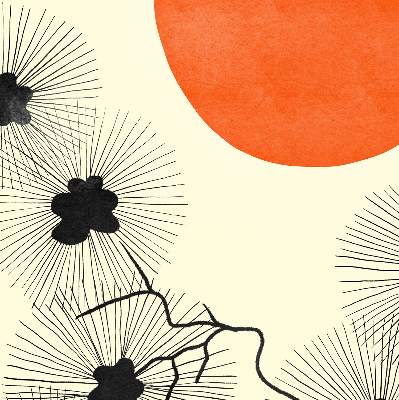 Store enrouleur Pissenlits