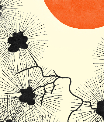 Store enrouleur Pissenlits