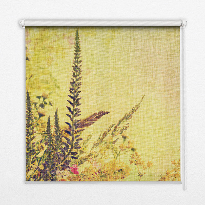 Store intérieur Plantes