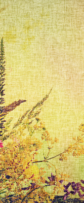 Store intérieur Plantes