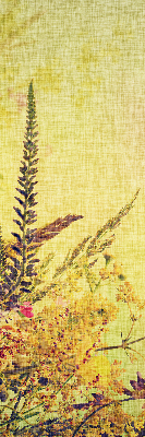 Store intérieur Plantes