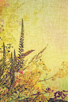 Store intérieur Plantes