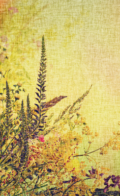 Store intérieur Plantes