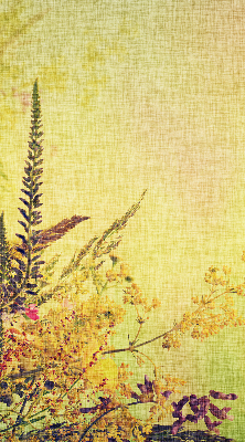 Store intérieur Plantes