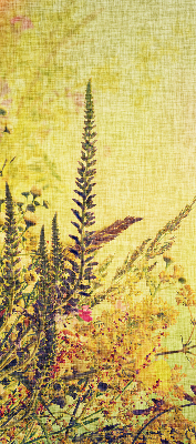 Store intérieur Plantes