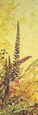 Store intérieur Plantes