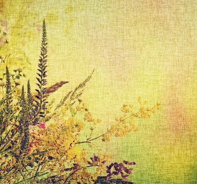 Store intérieur Plantes