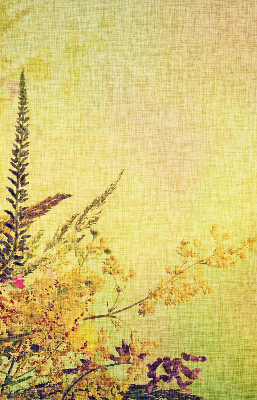 Store intérieur Plantes