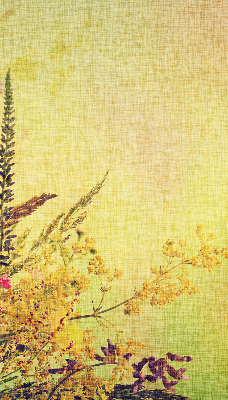 Store intérieur Plantes