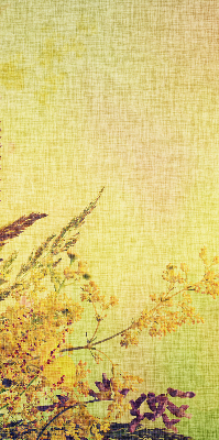 Store intérieur Plantes