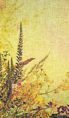 Store intérieur Plantes