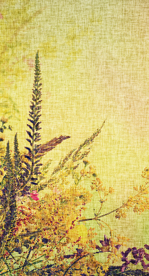 Store intérieur Plantes