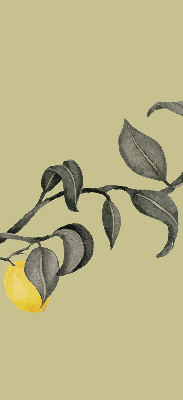 Store enrouleur Citrons sur l'arbre