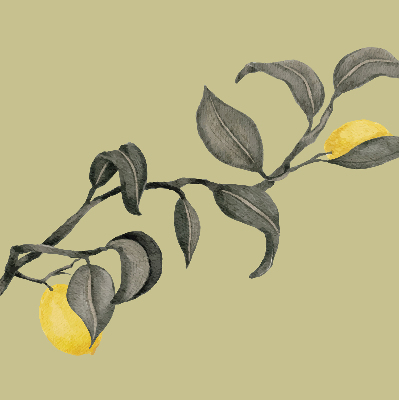 Store enrouleur Citrons sur l'arbre