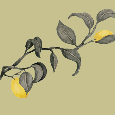 Store enrouleur Citrons sur l'arbre