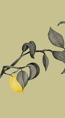 Store enrouleur Citrons sur l'arbre