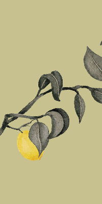 Store enrouleur Citrons sur l'arbre