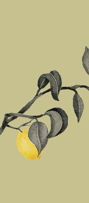 Store enrouleur Citrons sur l'arbre