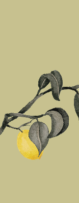 Store enrouleur Citrons sur l'arbre