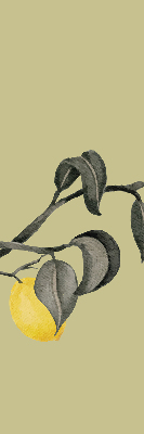 Store enrouleur Citrons sur l'arbre