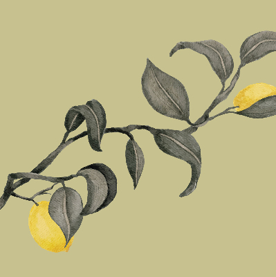 Store enrouleur Citrons sur l'arbre