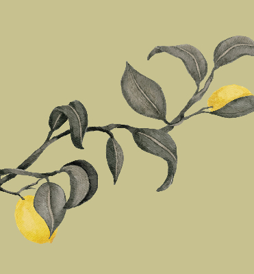 Store enrouleur Citrons sur l'arbre