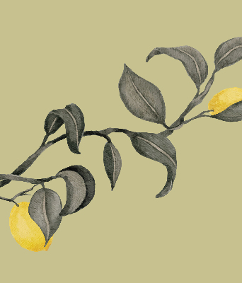 Store enrouleur Citrons sur l'arbre