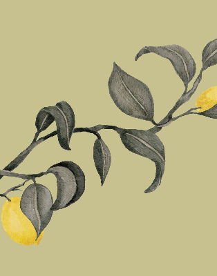 Store enrouleur Citrons sur l'arbre