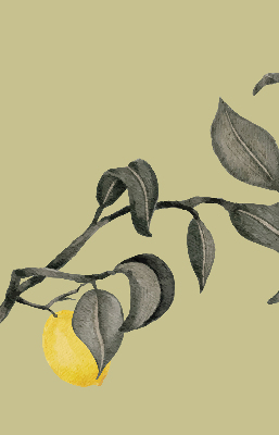 Store enrouleur Citrons sur l'arbre