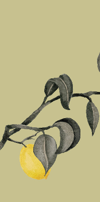 Store enrouleur Citrons sur l'arbre