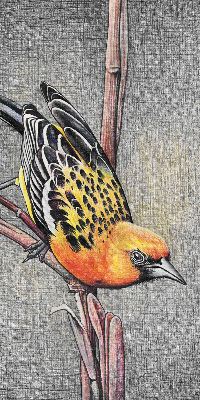 Store intérieur Un oiseau sur une branche