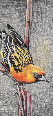 Store intérieur Un oiseau sur une branche