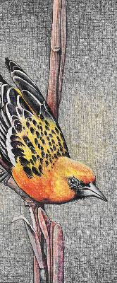 Store intérieur Un oiseau sur une branche