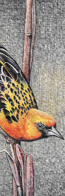 Store intérieur Un oiseau sur une branche