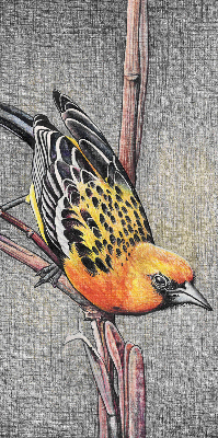 Store intérieur Un oiseau sur une branche