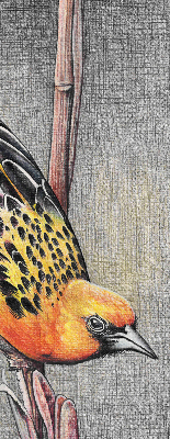 Store intérieur Un oiseau sur une branche