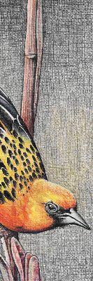 Store intérieur Un oiseau sur une branche