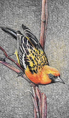 Store intérieur Un oiseau sur une branche