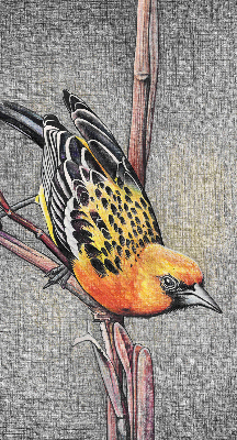 Store intérieur Un oiseau sur une branche