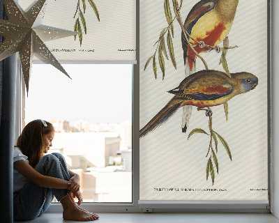 Store enrouleur Deux oiseaux sur une branche