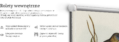 Store enrouleur Deux oiseaux sur une branche