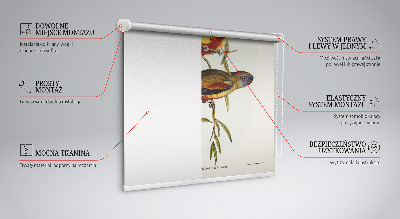 Store enrouleur Deux oiseaux sur une branche