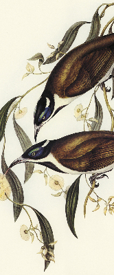 Store intérieur Oiseaux sur un arbre