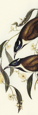 Store intérieur Oiseaux sur un arbre