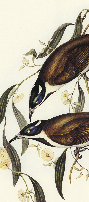 Store intérieur Oiseaux sur un arbre